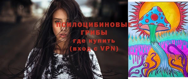 прущие крисы Аркадак