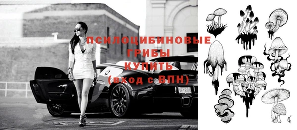 прущие крисы Аркадак